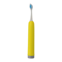 Adult Waterproof Electric Toothbrush Head Battery Operated Toothbrush