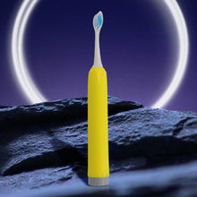 Adult Waterproof Electric Toothbrush Head Battery Operated Toothbrush